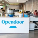 Opendoor Business Model