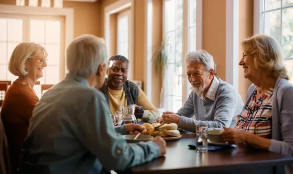 Elderly Care Franchise