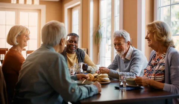 Elderly Care Franchise