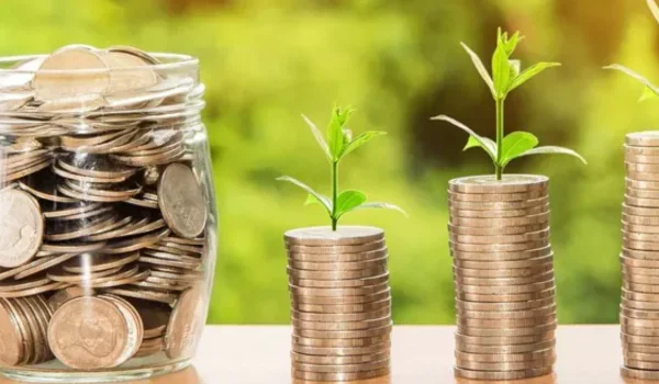 Manage Money After Job Loss